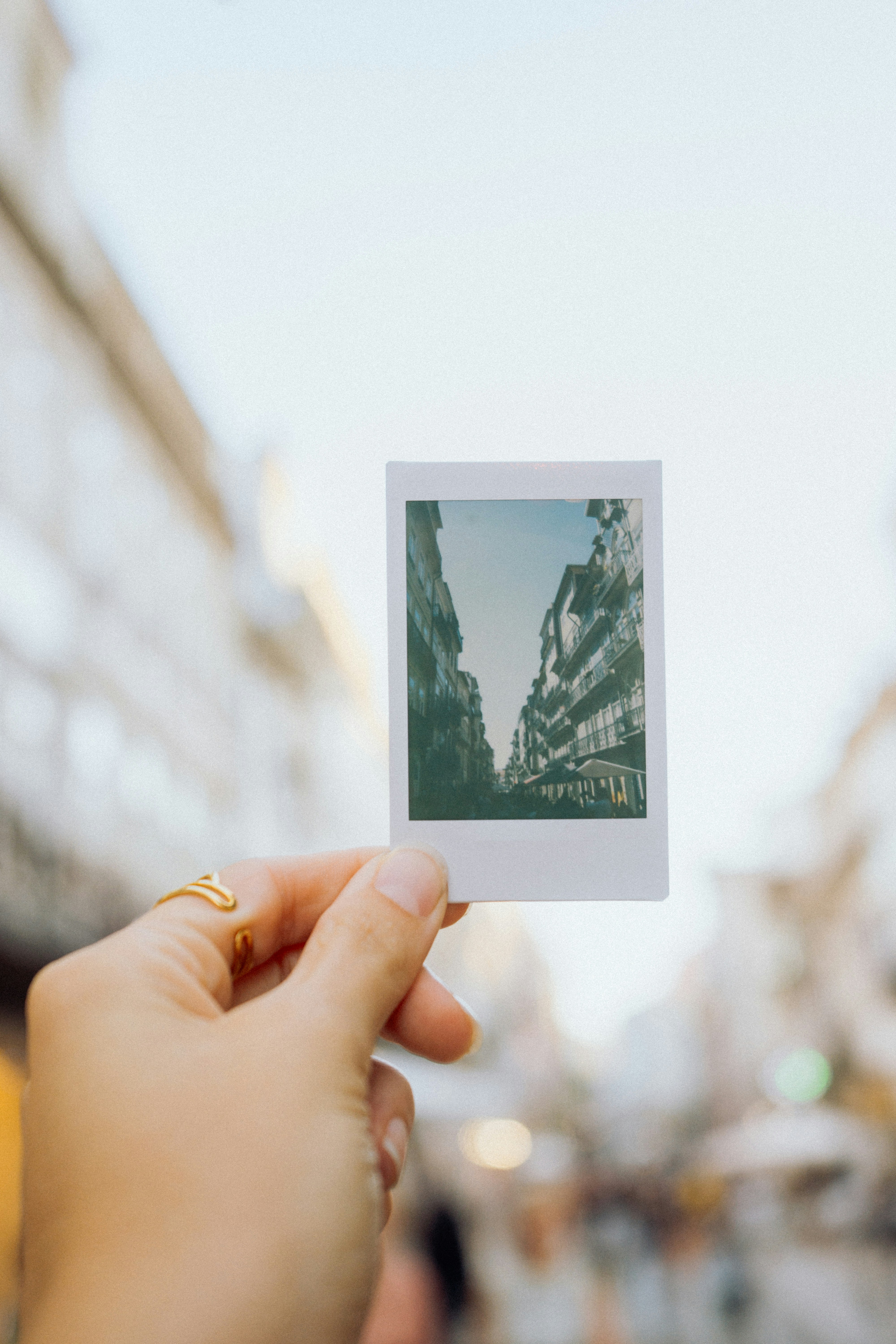 Light Seekers Reading