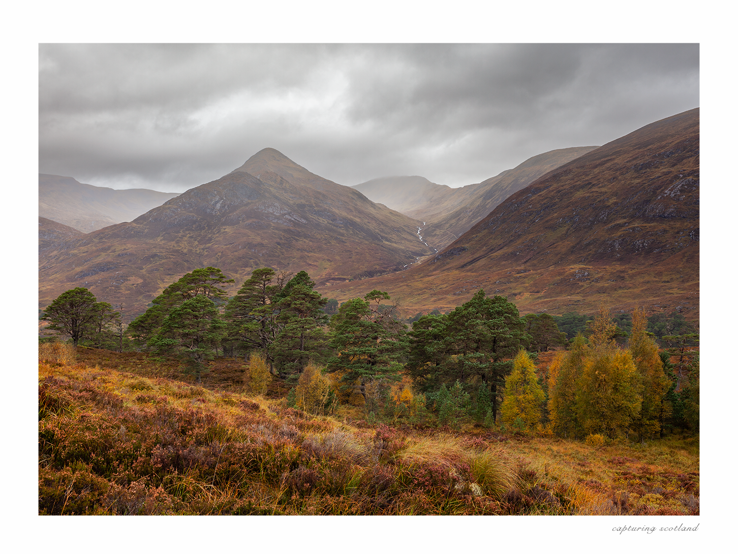 Glen Affric