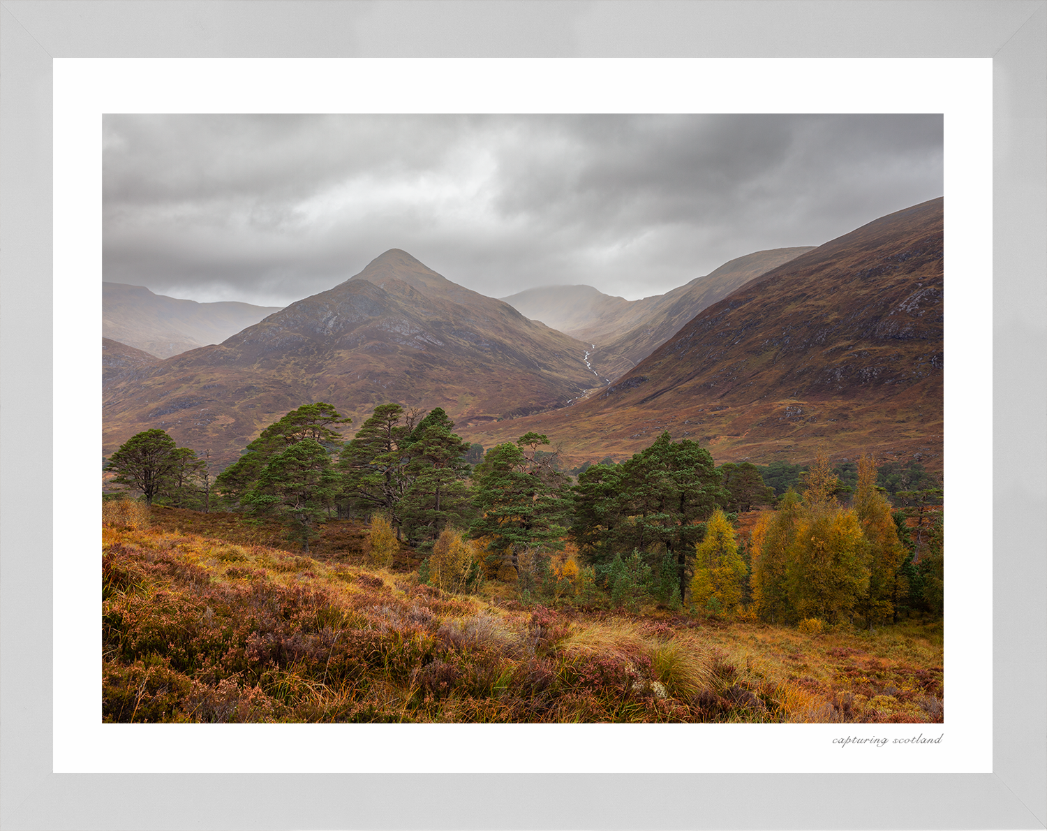 Glen Affric