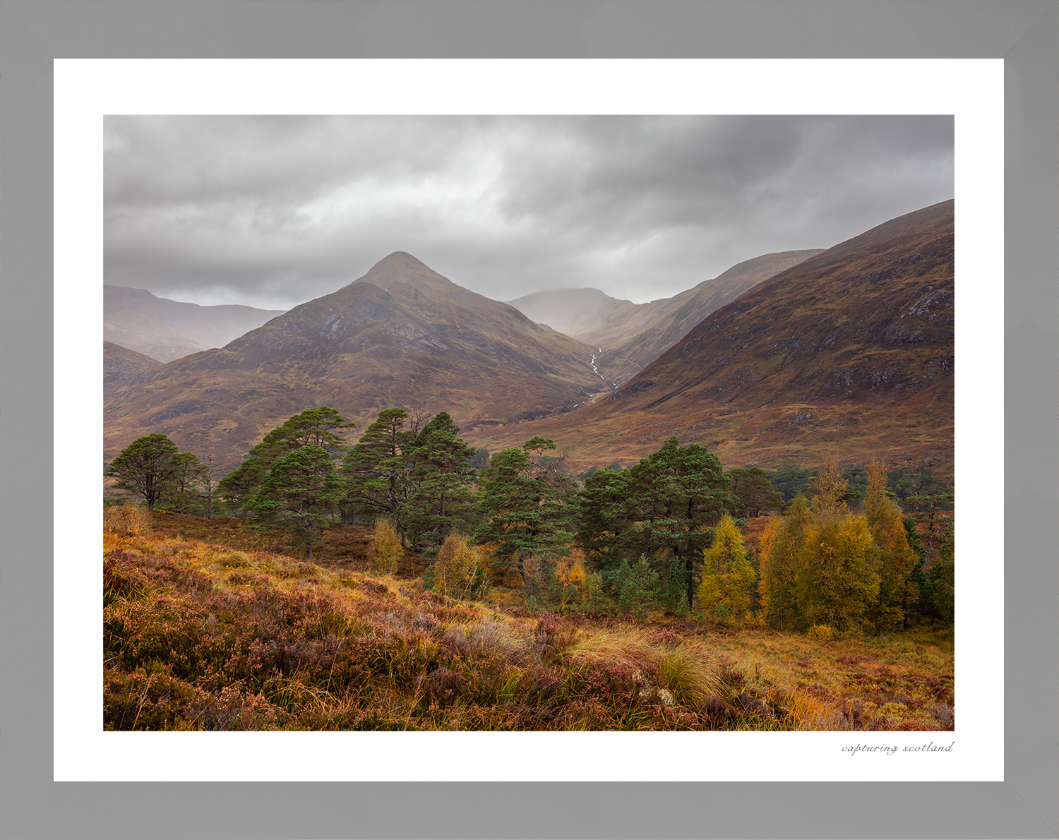 Glen Affric