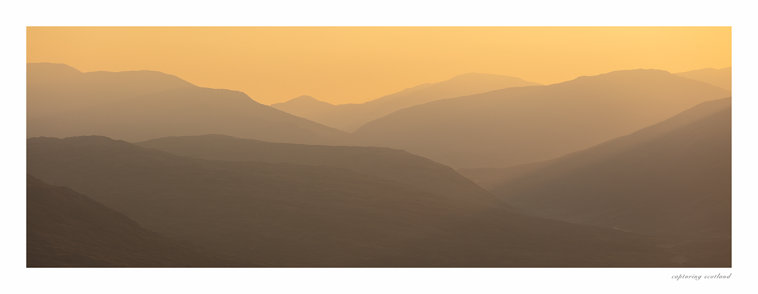 Corrour Forest