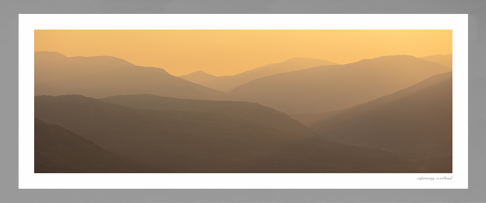 Corrour Forest