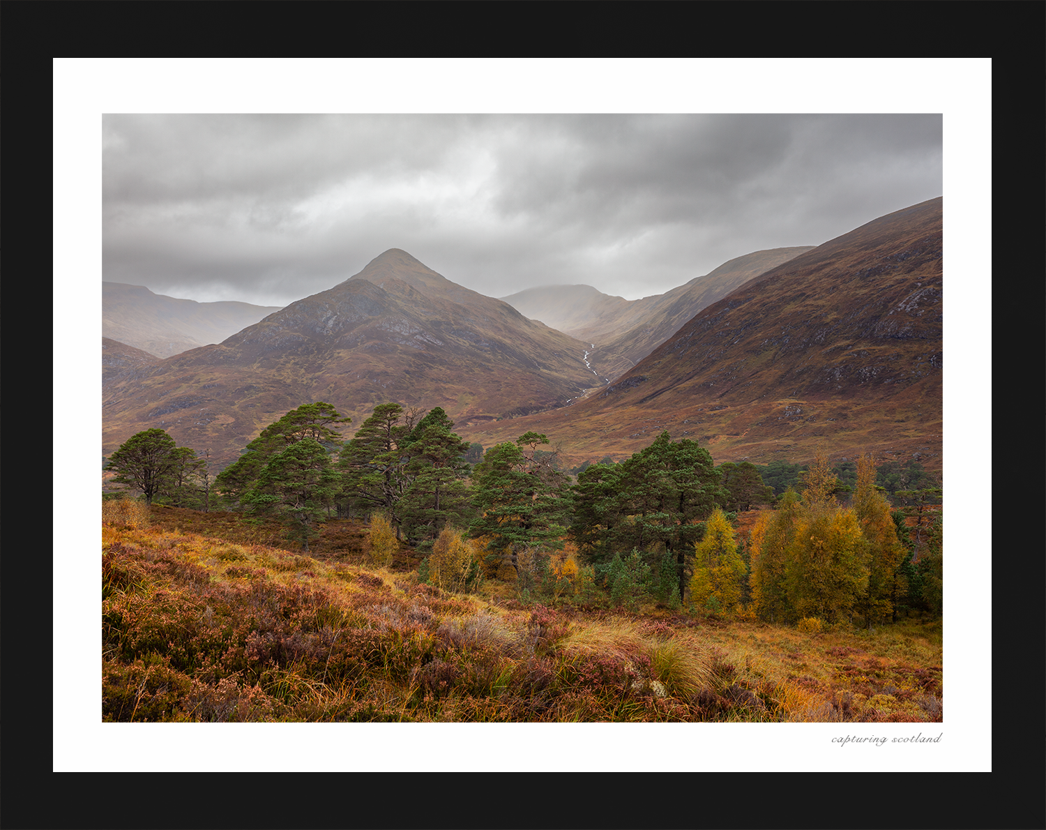 Glen Affric