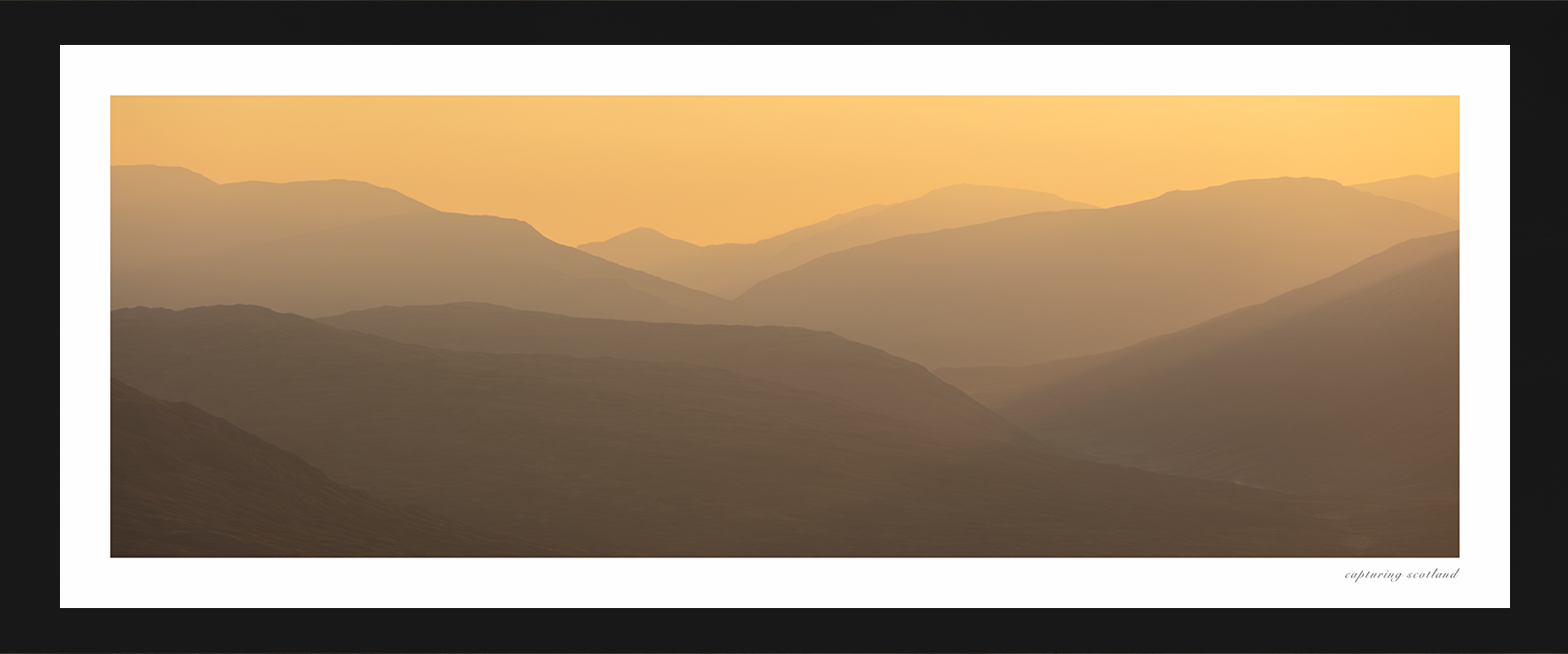 Corrour Forest