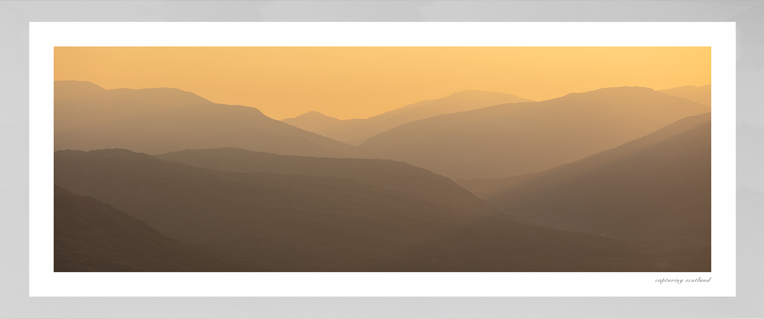 Corrour Forest