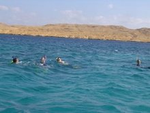 Paradise Island 