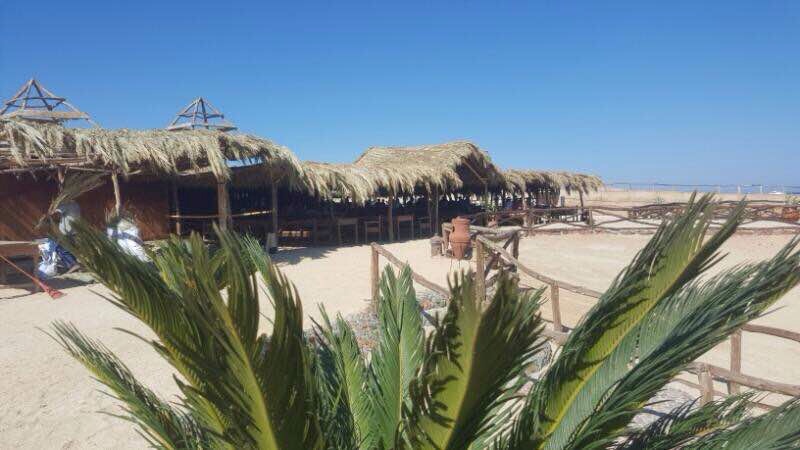Paradise Island 
