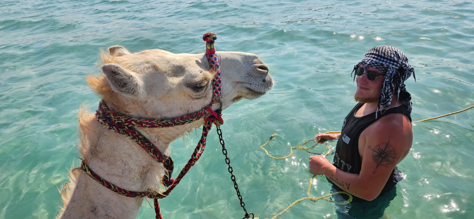 Horseback Riding in Hurghada