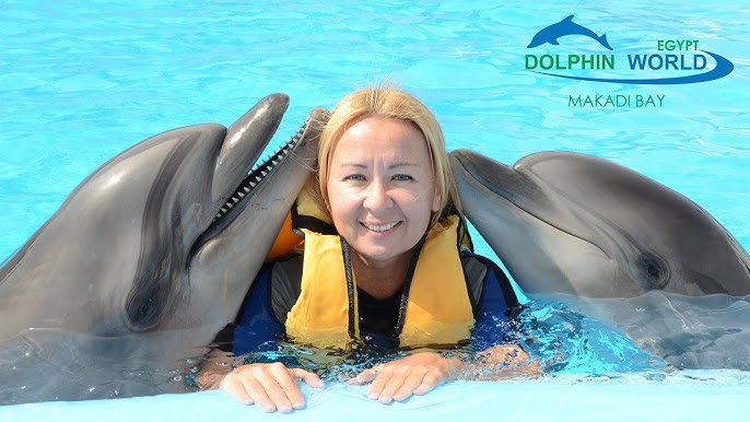 Dolphin Show