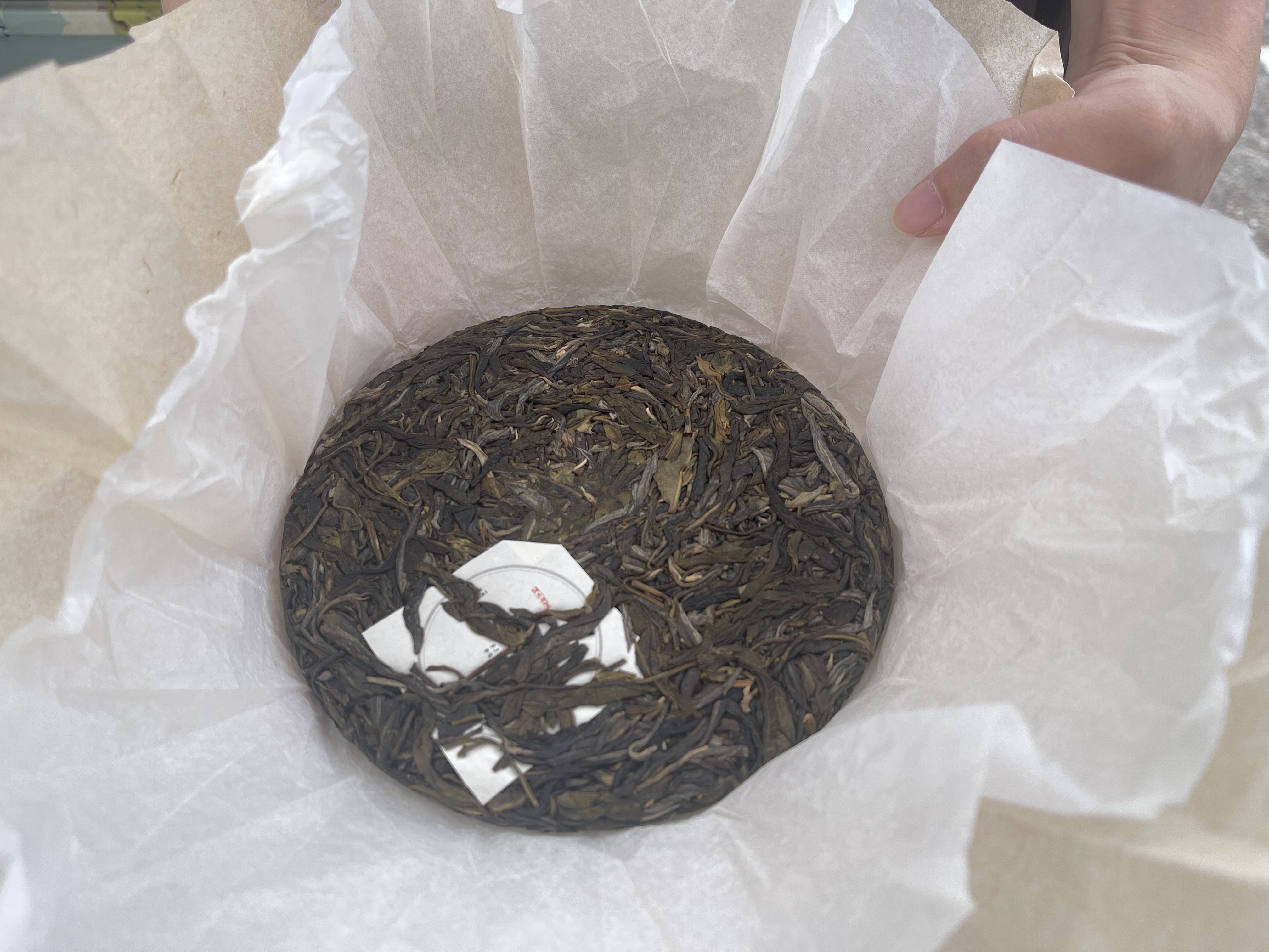 同尘（Tong Chen）