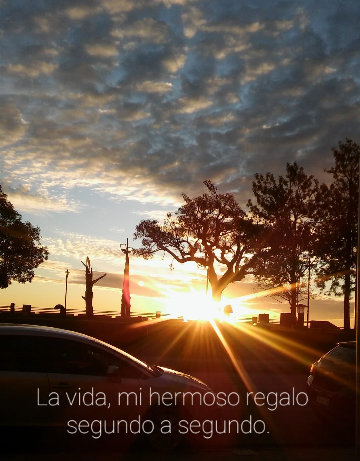 Landing Page de Alto impacto para freelancers