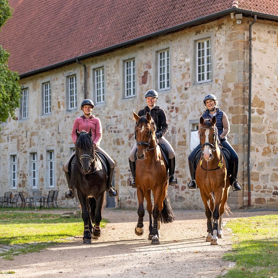 German Training Trip - Shared Accomodations
