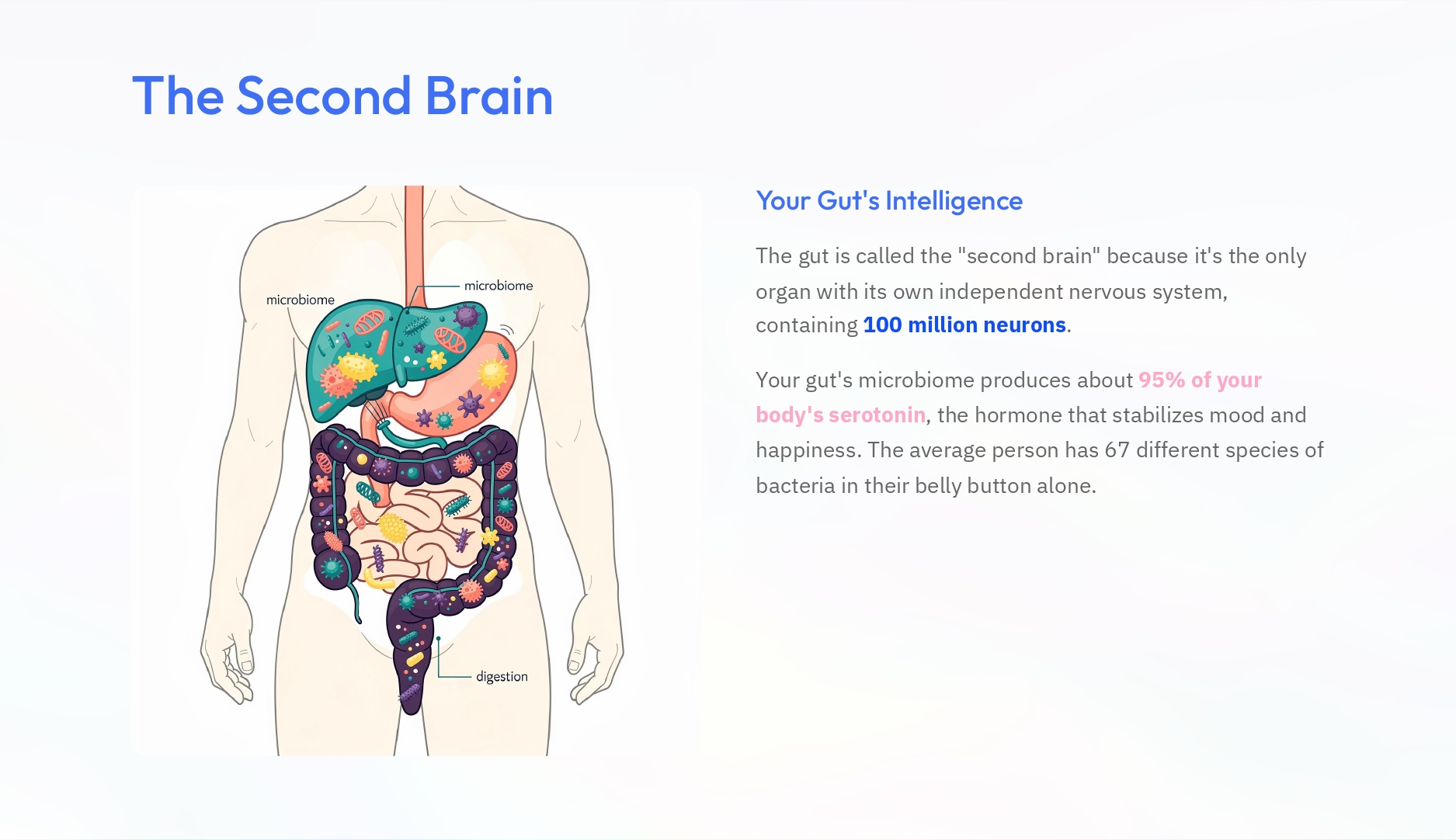 500 Crazy & Mind-Blowing Random Facts eBook