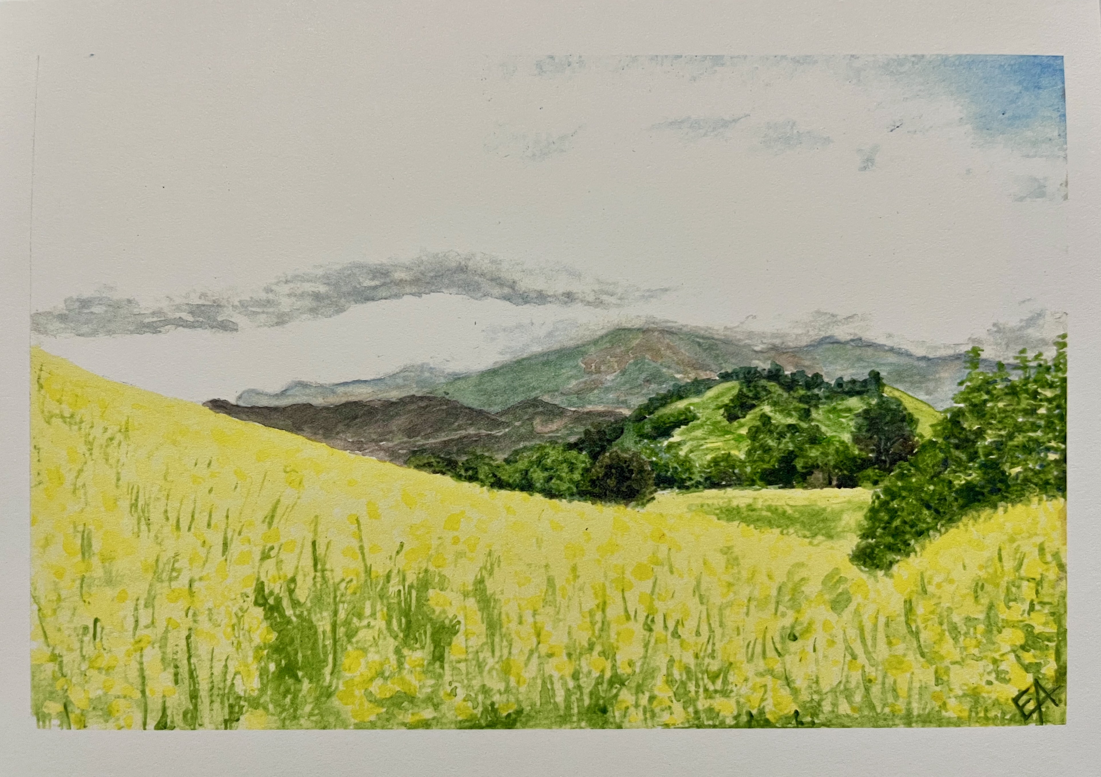 Spring on Mulholland Drive