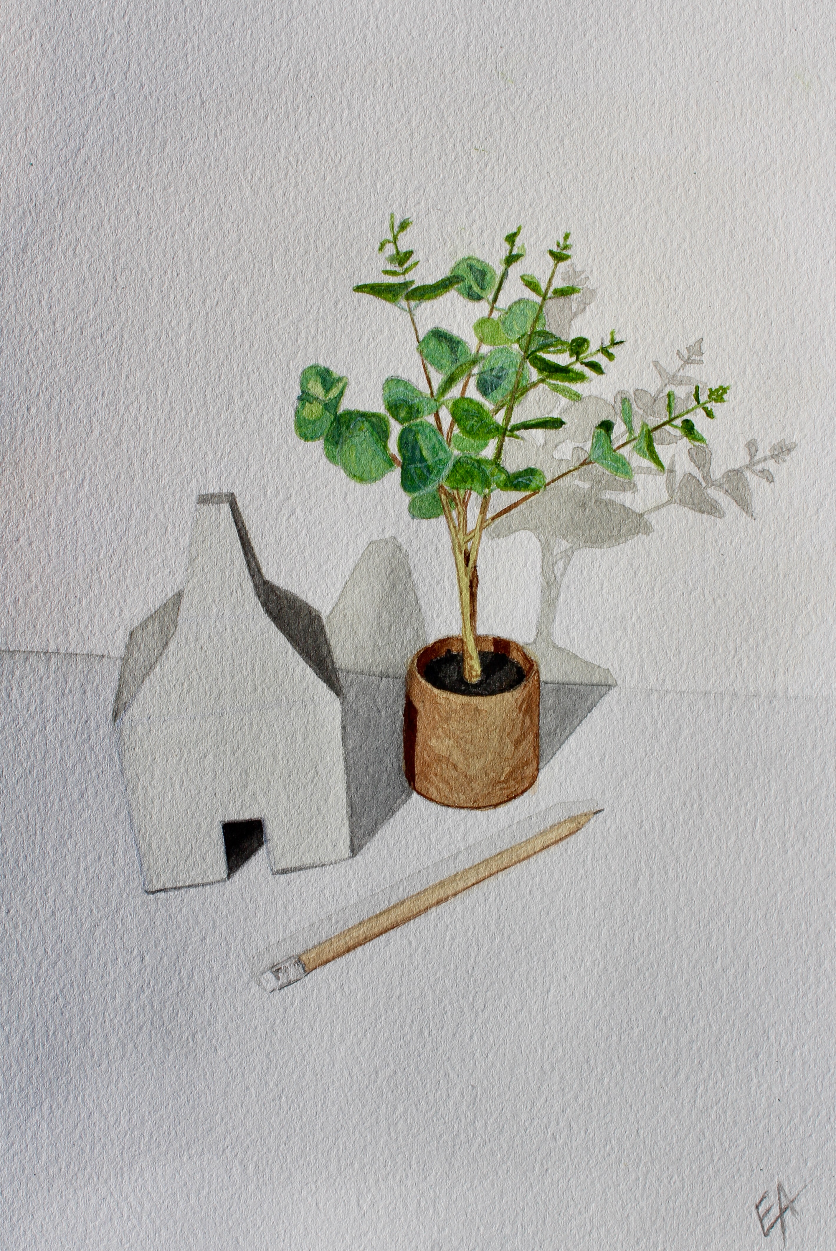 Items from a Bookshelf (Study)