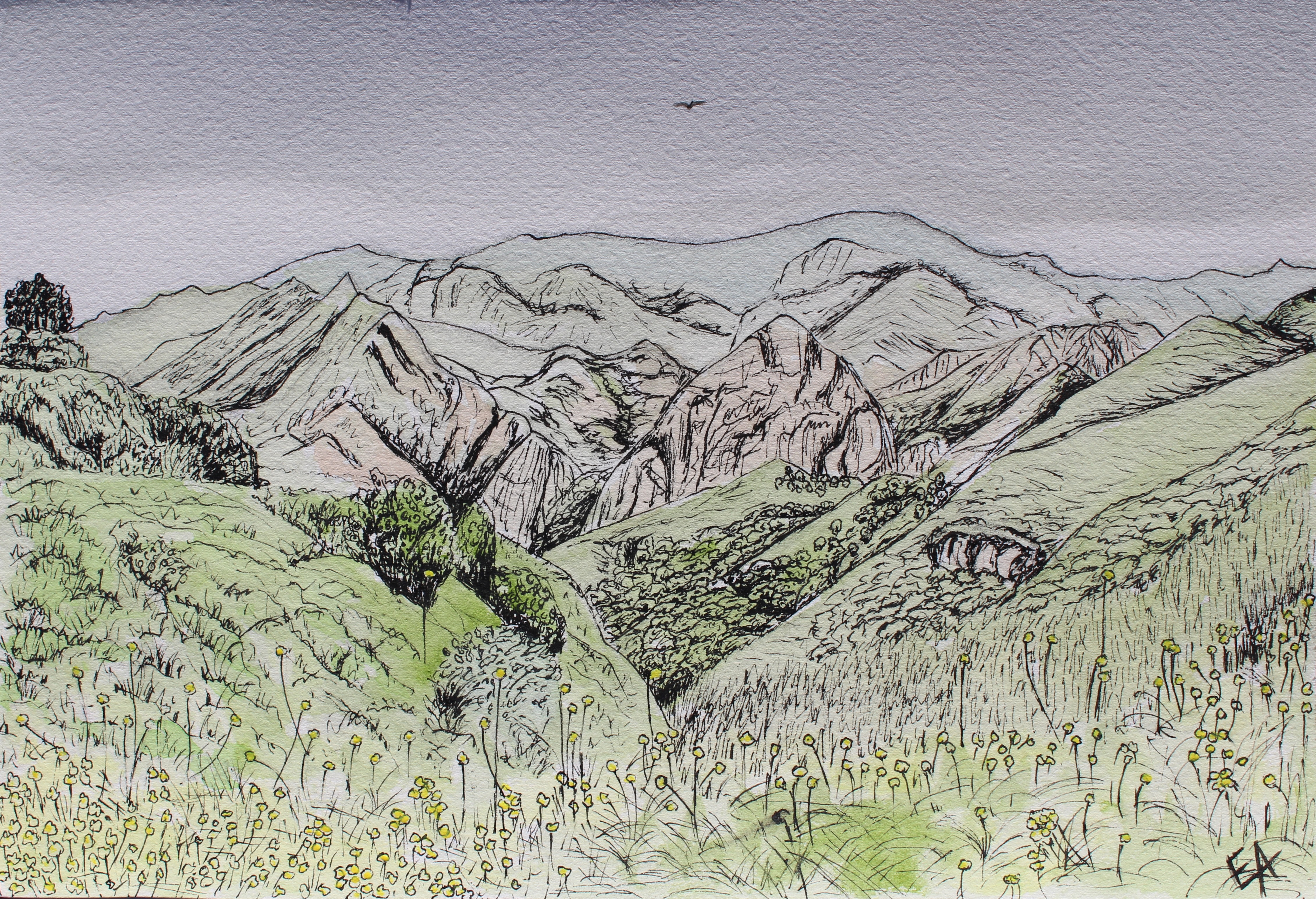 Spring on Mulholland Drive