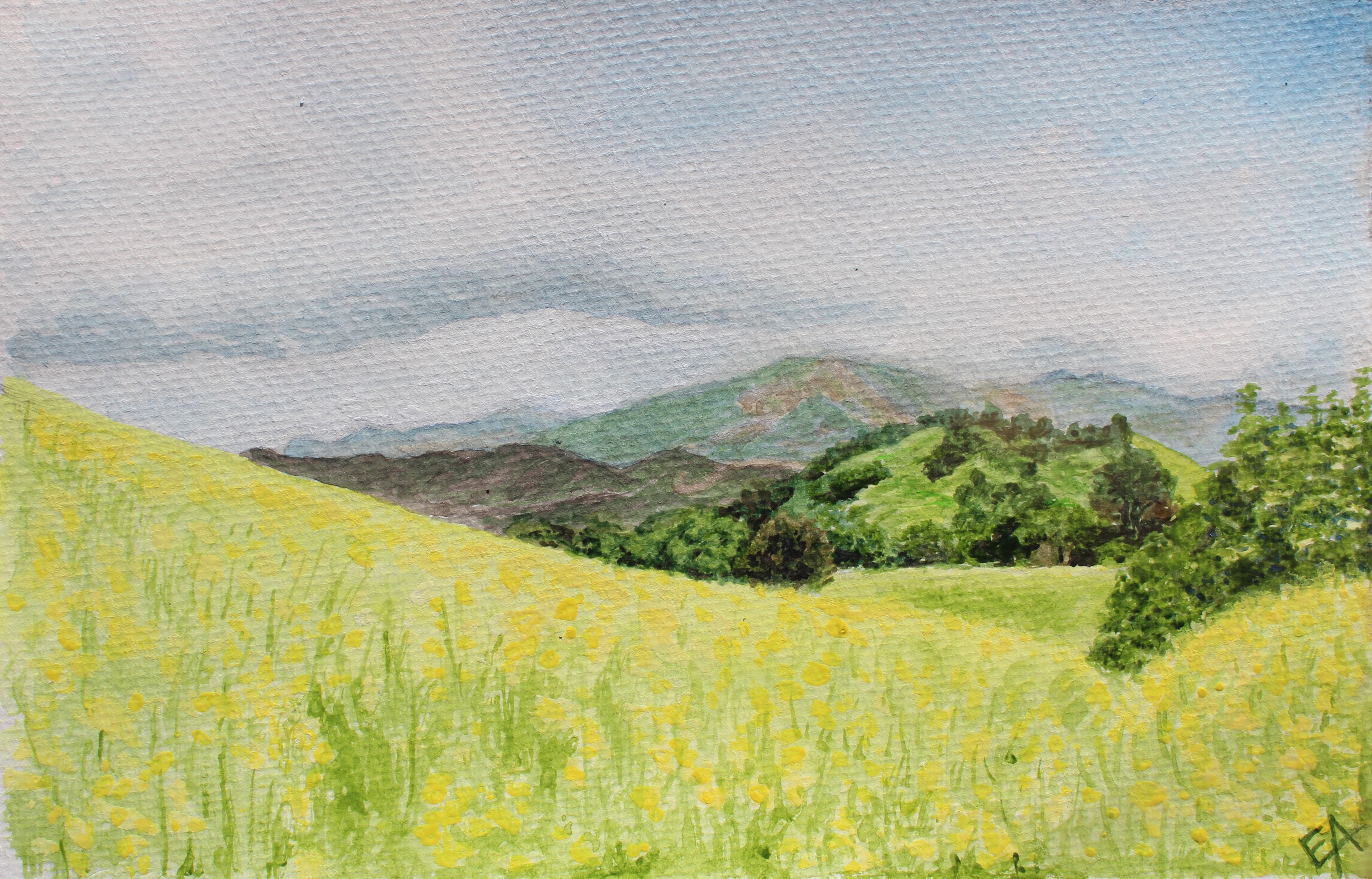 Spring on Mulholland Drive (Study)