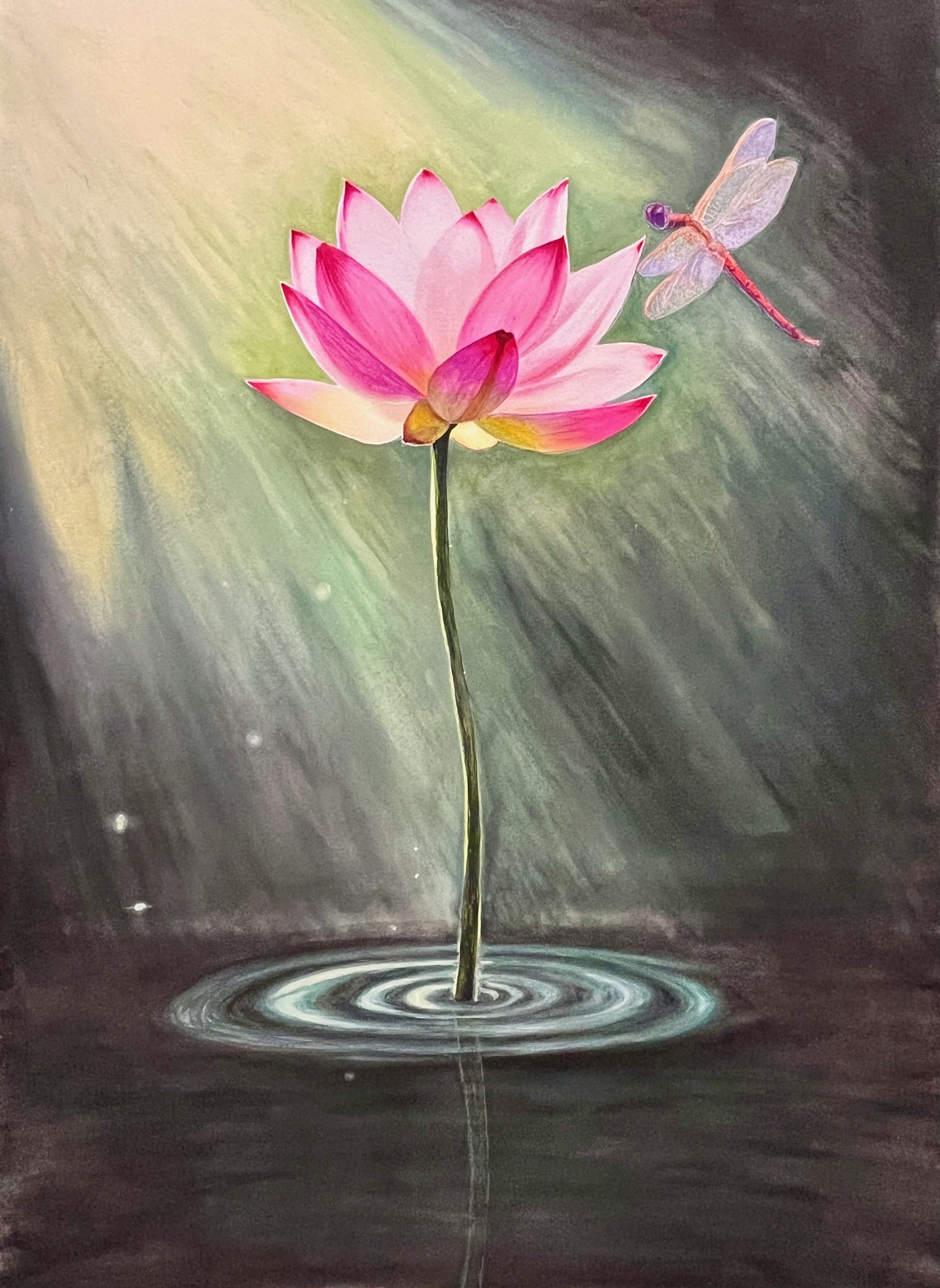 Lotus Flower and Dragonfly