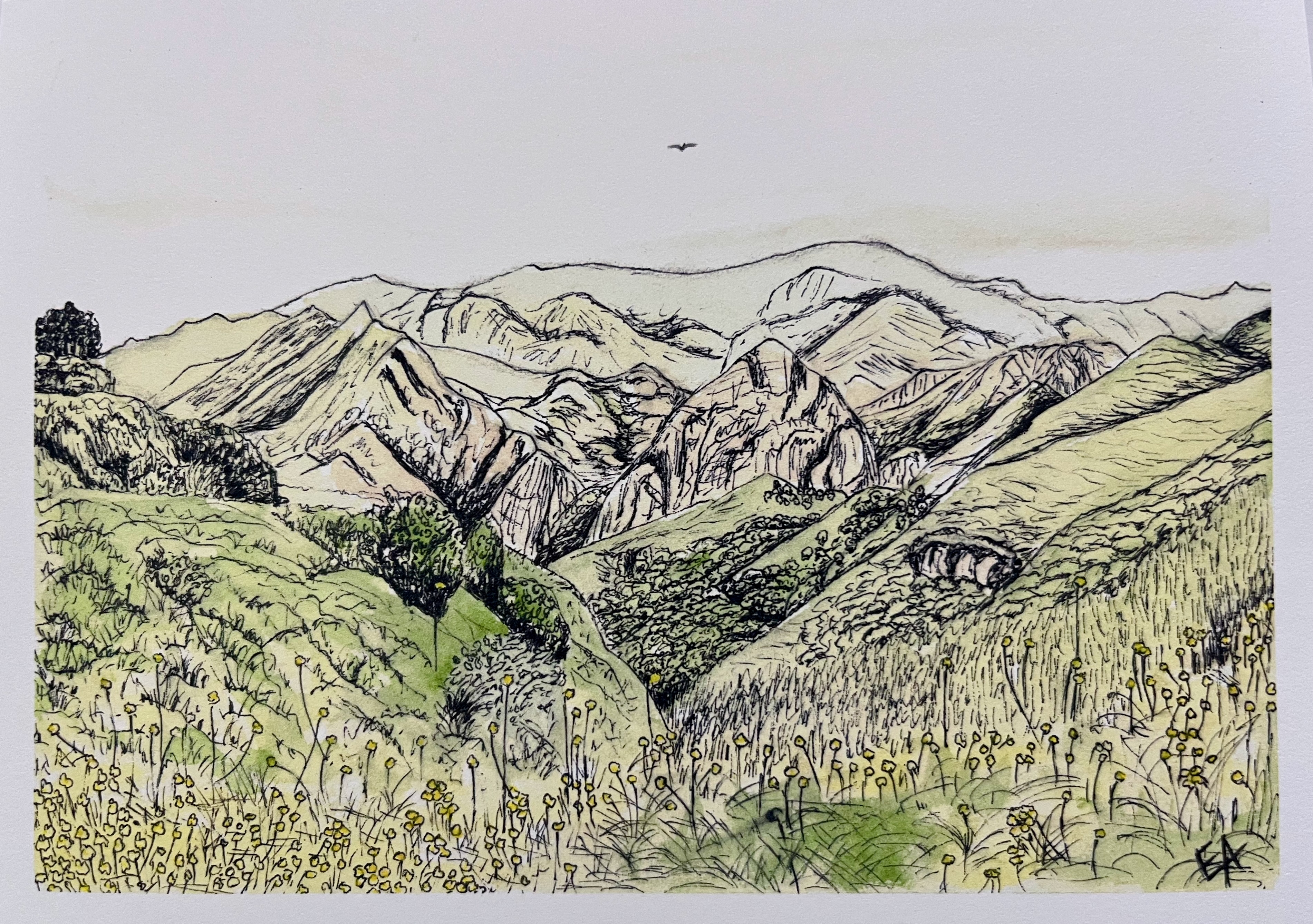 Spring on Mulholland Drive