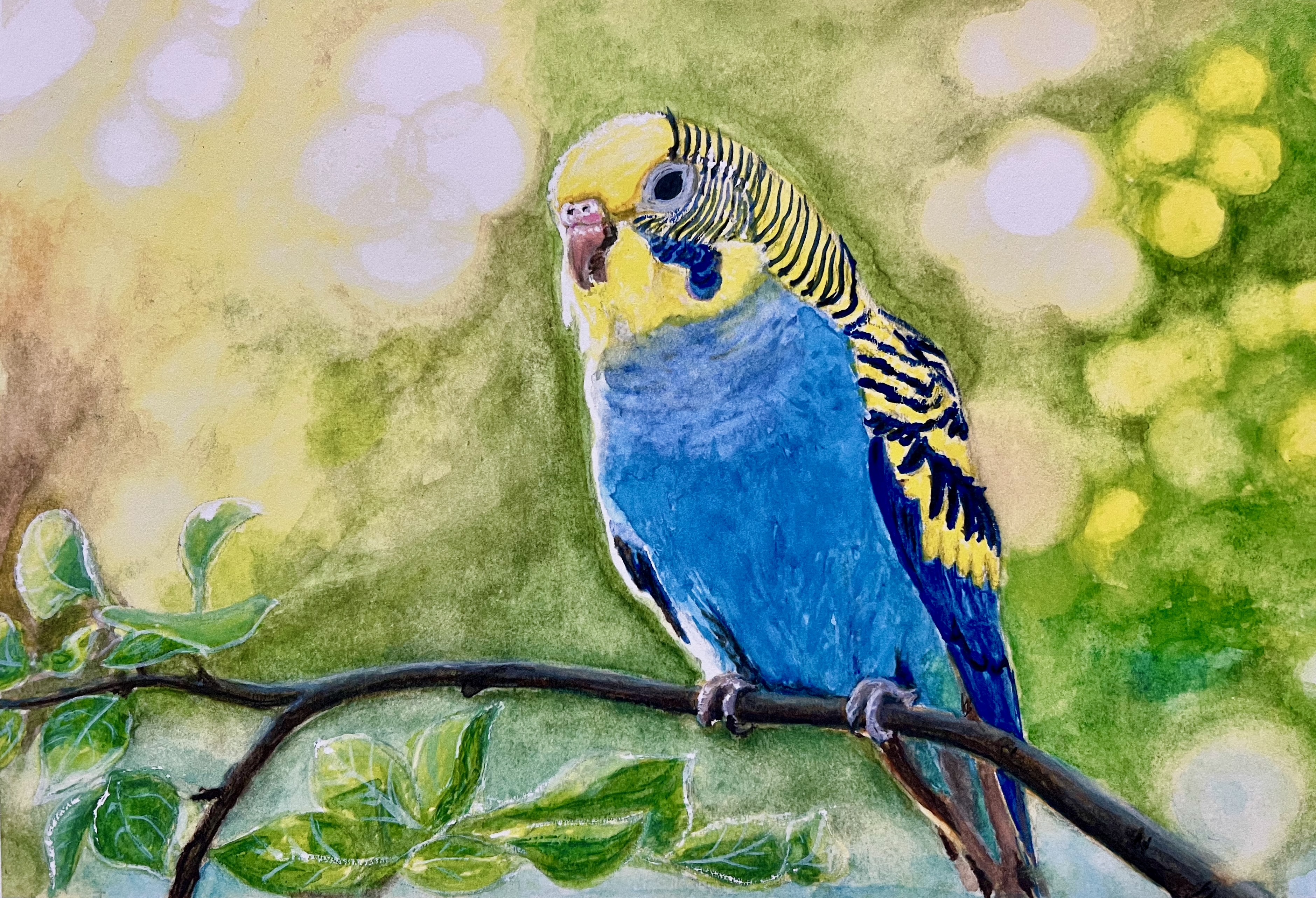 A Blue Parakeet