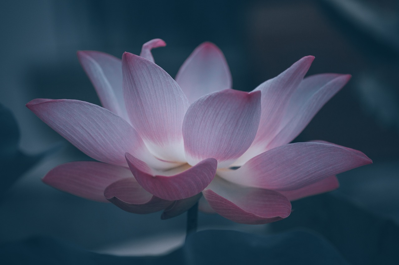 Reiki