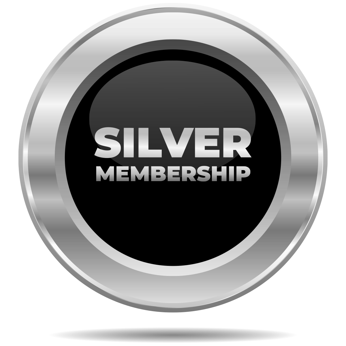 SILVER – Cultural Member Tier