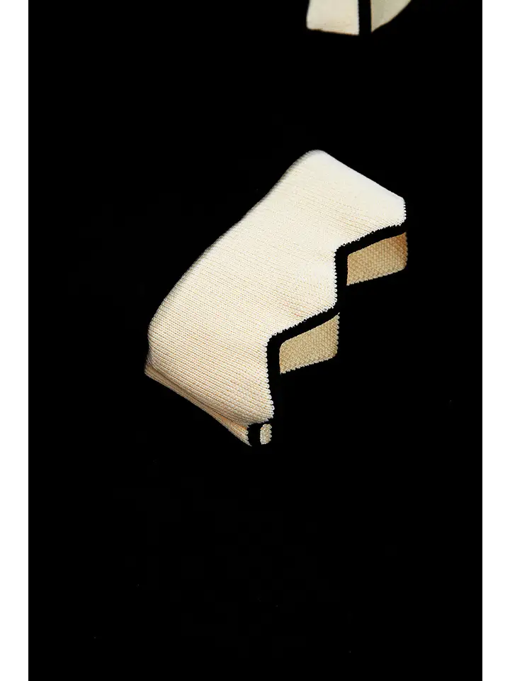 Colorblock Scallop Trim Long Sleeve Collared Top