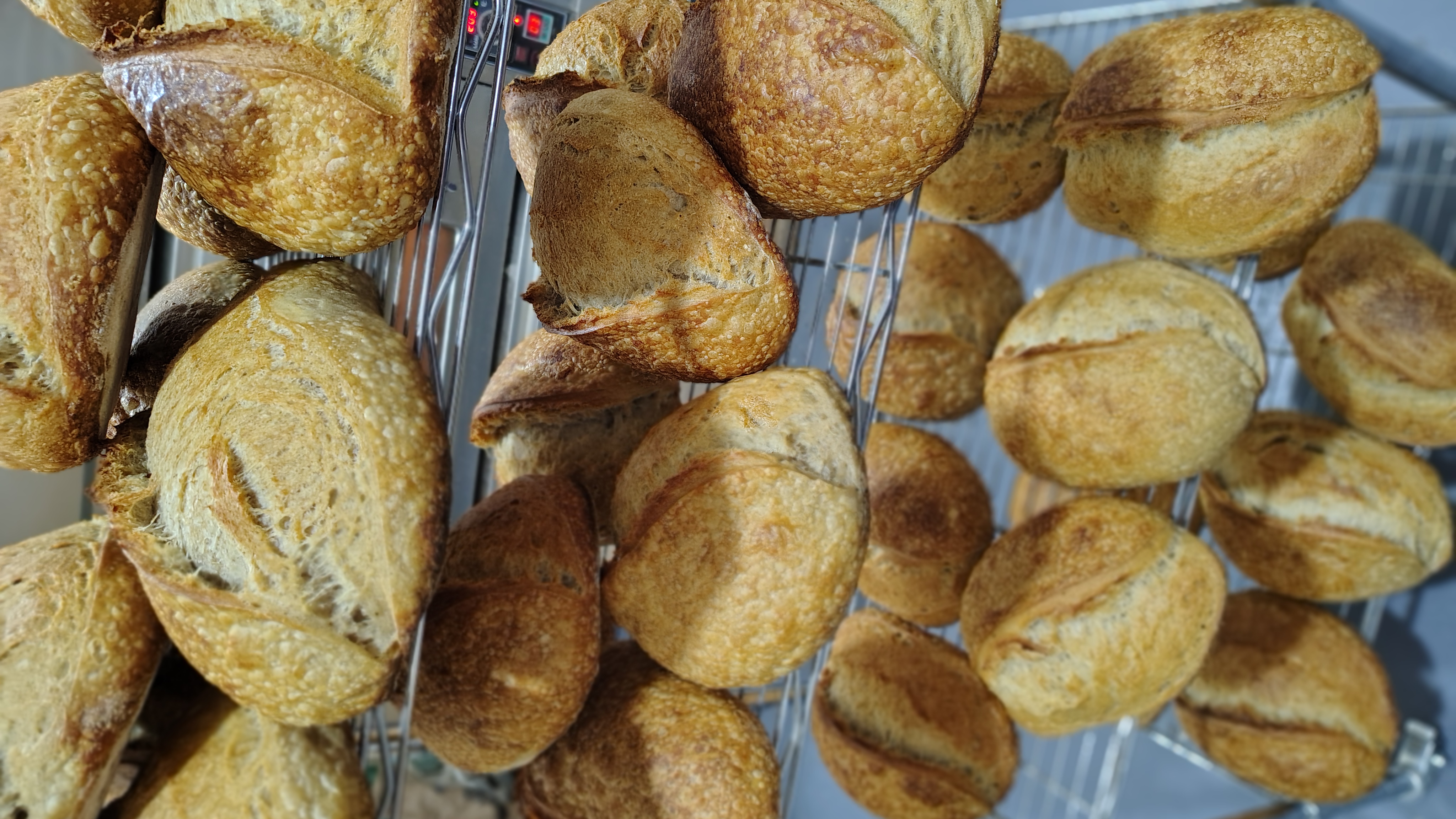 Pan de Campo Clásico