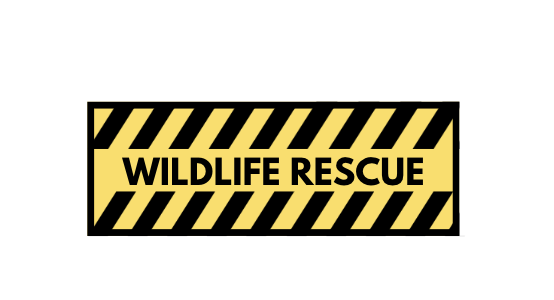 Wildlife Rescue Sticker