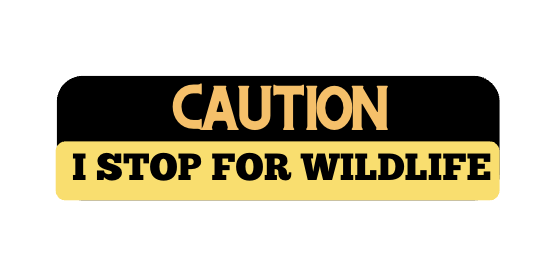 Caution: I Stop for Wildlife Bumper Sticker