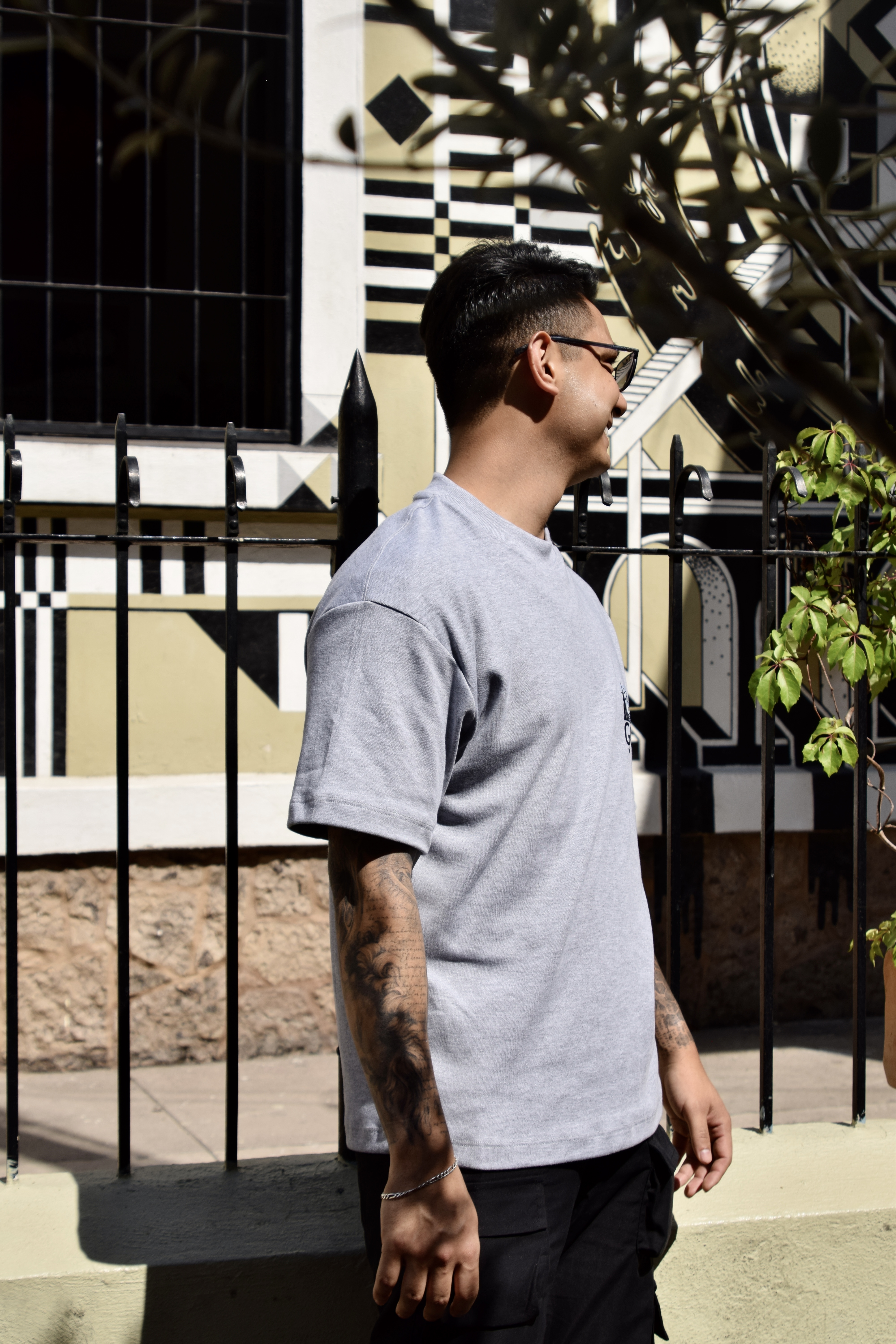 LA NOCHE ESTRELLADA "Insomnia" 