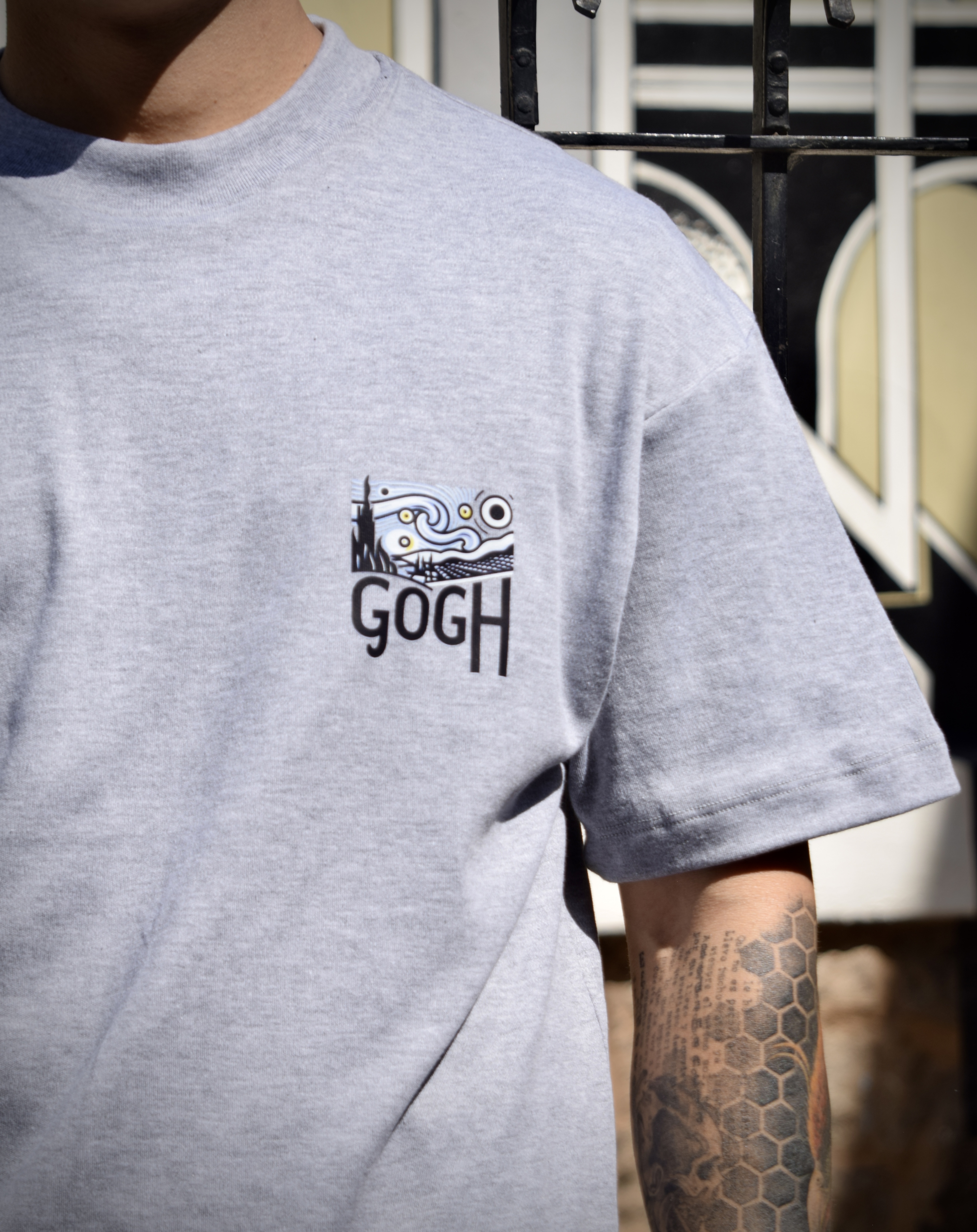 LA NOCHE ESTRELLADA "Insomnia" 