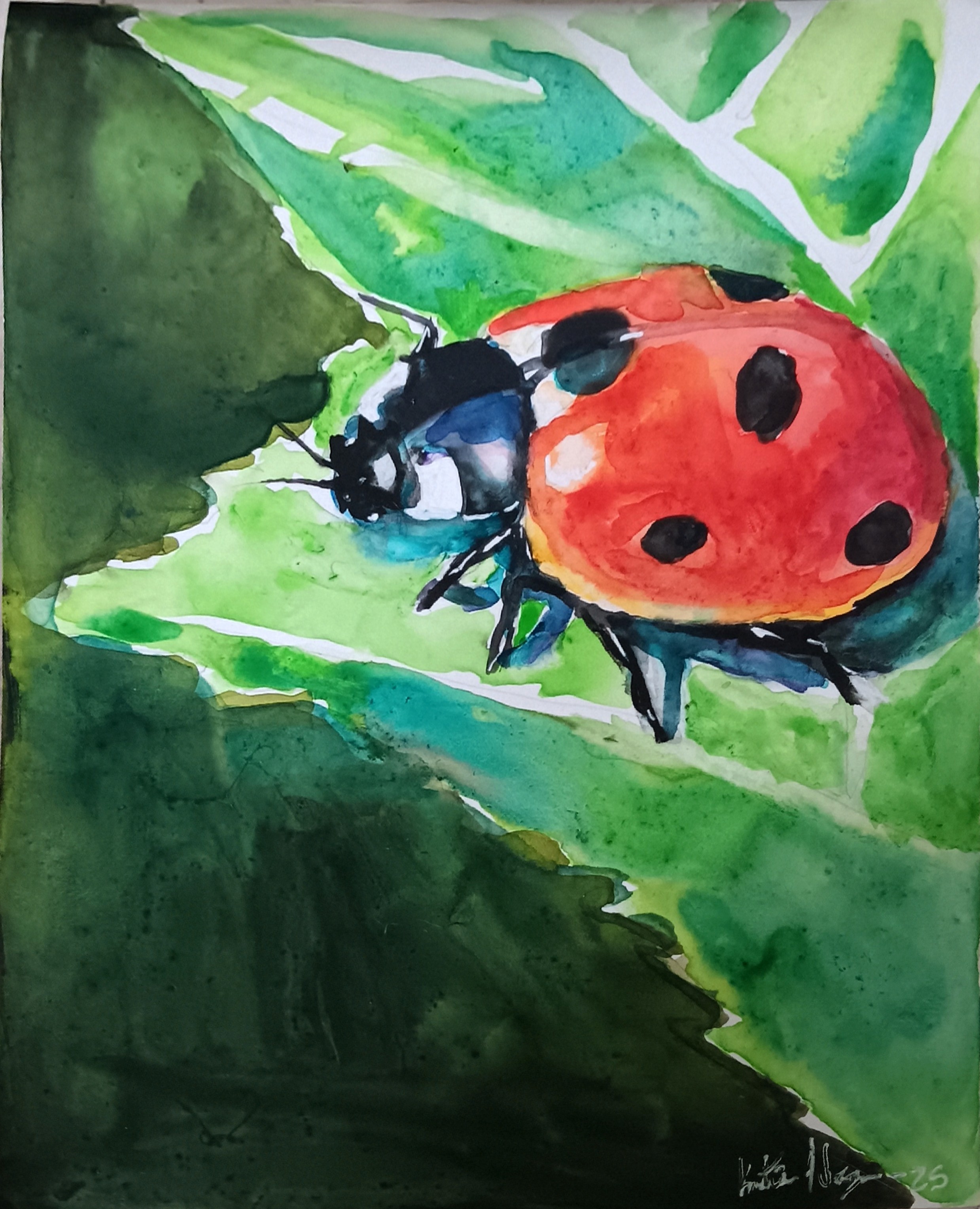 Ladybug
