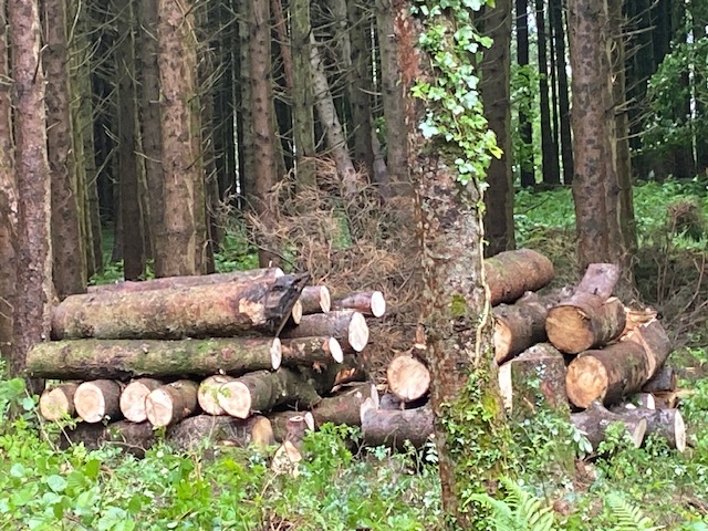 Nivrava  - Island donation