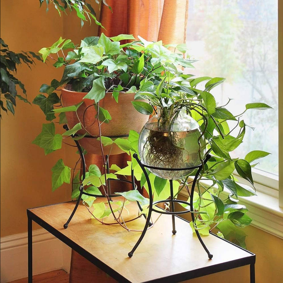 GBS-20 Multi-Use, Small Wrought Iron Metal Plant birdbath Bowl Stand Flowerpot Holder, 8", Black