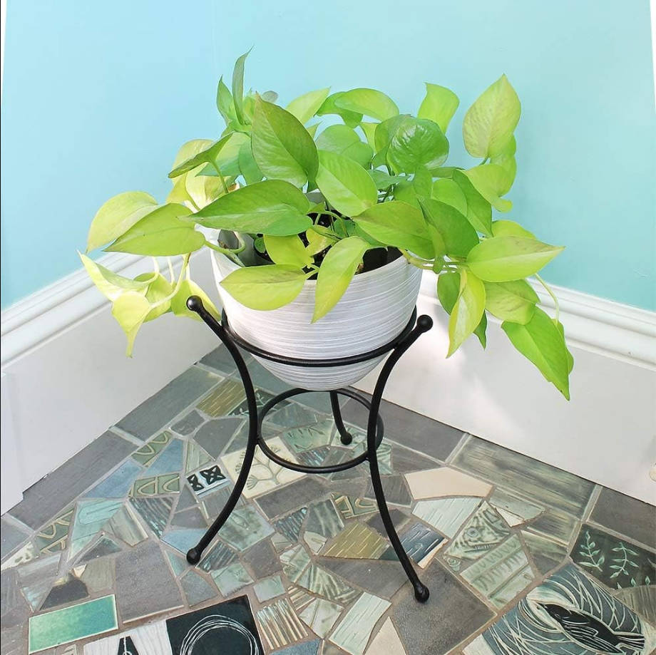 GBS-20 Multi-Use, Small Wrought Iron Metal Plant birdbath Bowl Stand Flowerpot Holder, 8", Black