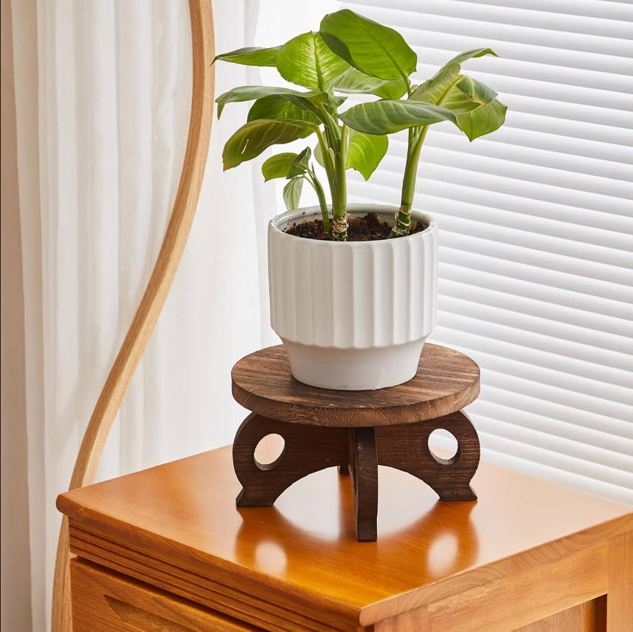 Plant Stand Indoor Round Wood Risers Display Stands Decorative Table for Flowers Stand Indoor Rustic Balcony Decor Pedestal Board Plant Holder Rise