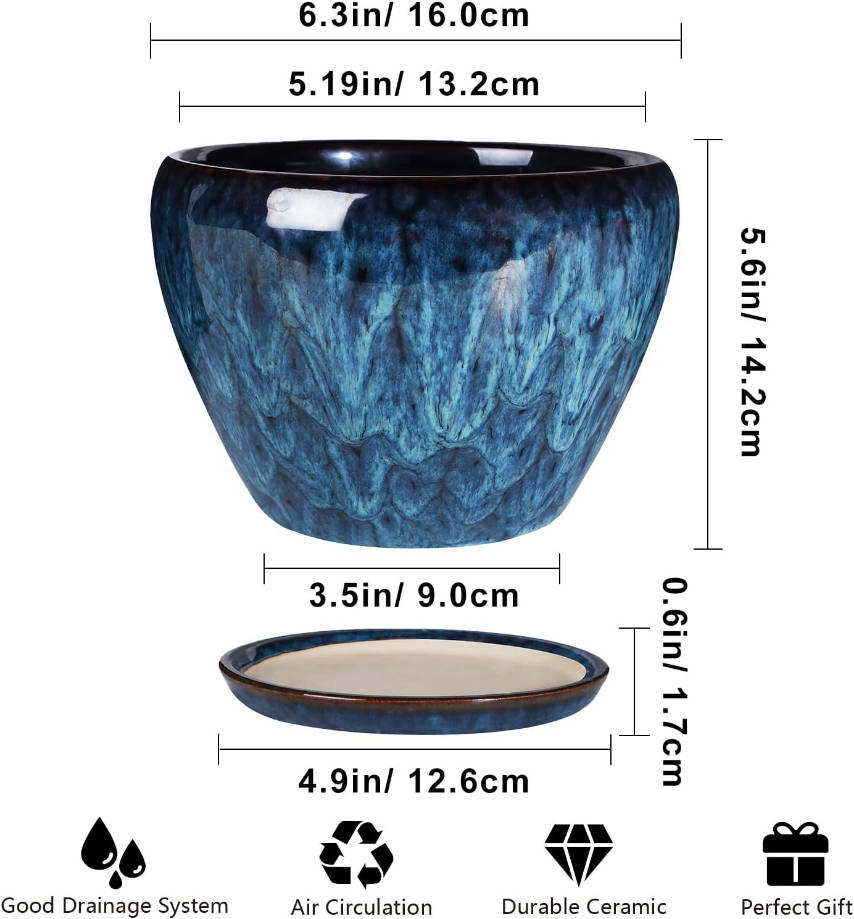 Modern Glaze Succulent Planter Pot with Drainage Hole and Saucer 6 Inch Round Flower Plant Pot for Indoor Outdoor Herb Snake Plants