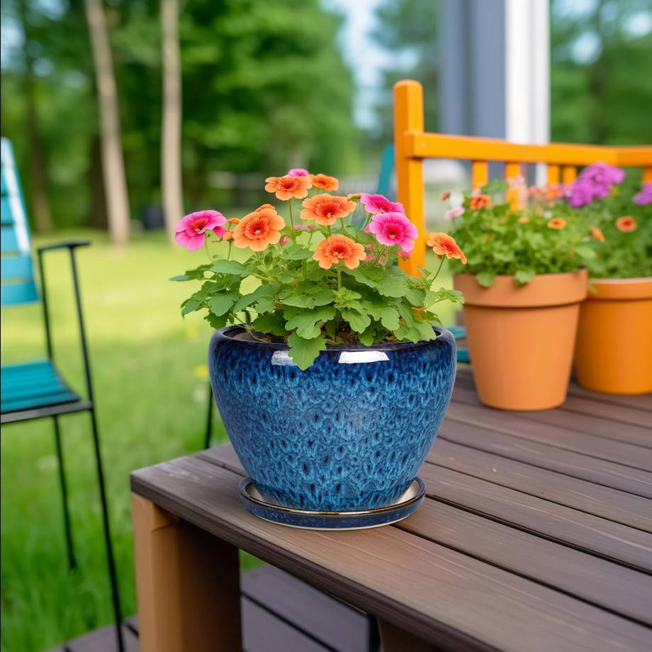 Modern Glaze Succulent Planter Pot with Drainage Hole and Saucer 6 Inch Round Flower Plant Pot for Indoor Outdoor Herb Snake Plants
