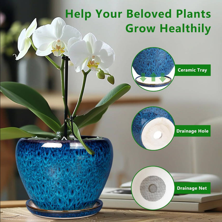 Modern Glaze Succulent Planter Pot with Drainage Hole and Saucer 6 Inch Round Flower Plant Pot for Indoor Outdoor Herb Snake Plants