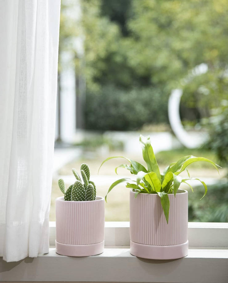 3 Pack Ceramic Plant Pots 6/5/4 inch, Flowerpot for Indoor Plants with Drainage Holes and Tray, Outdoor Garden Planters, Modern Decorative for Home, Pink Vertical Stripes