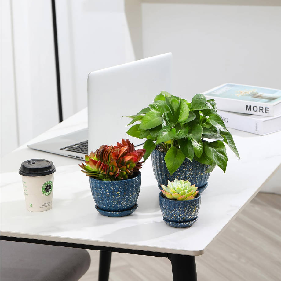 Plant Pots with Drainage Holes and Saucers, Round Blue Flower Pots for Indoor Plant, Diameter 3.3/4.3/5.5 Inches Small Mini Flower Planters Set of 3