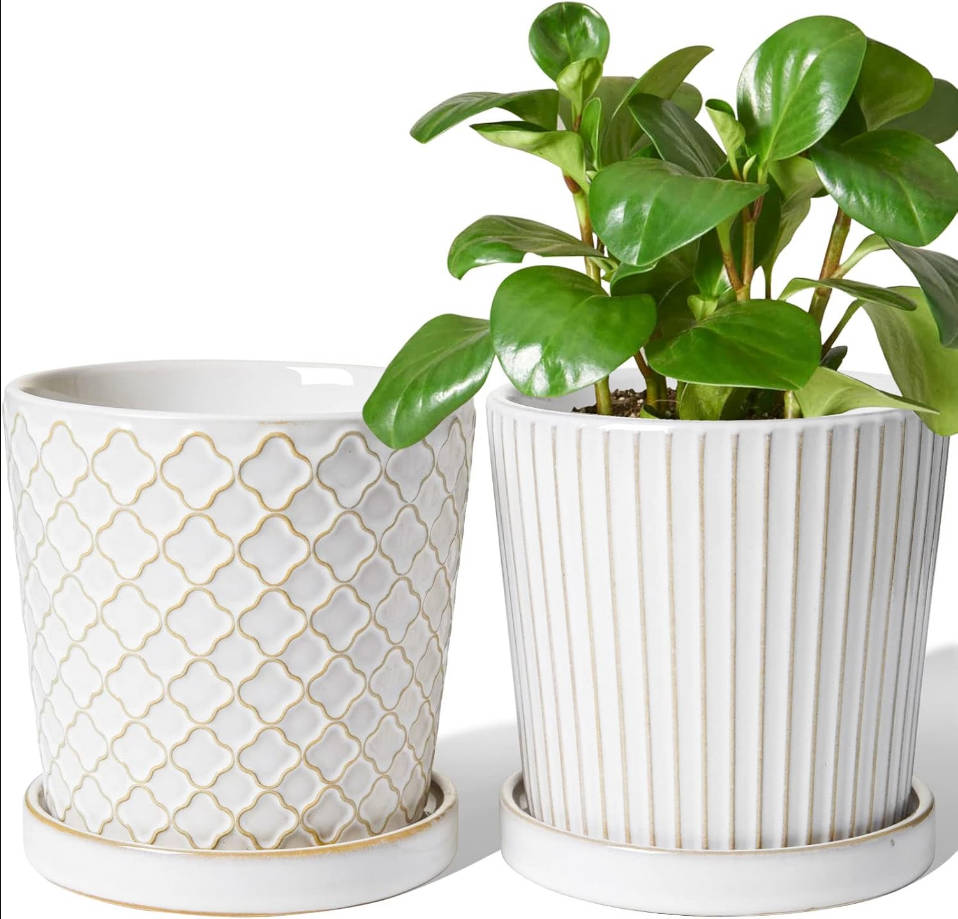 Ceramic Pots for Plants, 5.4 Inch Plant Pots with Drainage Hole and Saucer, Indoor Plant Pots for Succulent, Snake Plants and Cactus, Flower Pots, Set of 2, Reactive Glaze White