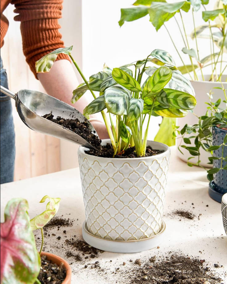Ceramic Pots for Plants, 5.4 Inch Plant Pots with Drainage Hole and Saucer, Indoor Plant Pots for Succulent, Snake Plants and Cactus, Flower Pots, Set of 2, Reactive Glaze White