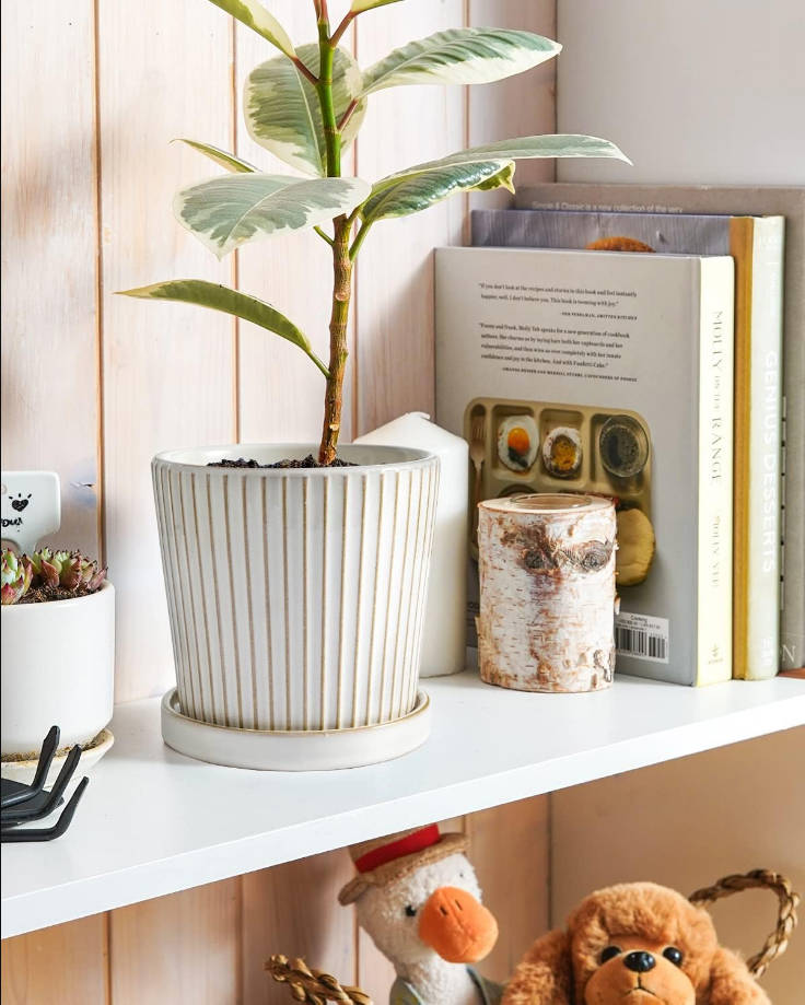 Ceramic Pots for Plants, 5.4 Inch Plant Pots with Drainage Hole and Saucer, Indoor Plant Pots for Succulent, Snake Plants and Cactus, Flower Pots, Set of 2, Reactive Glaze White
