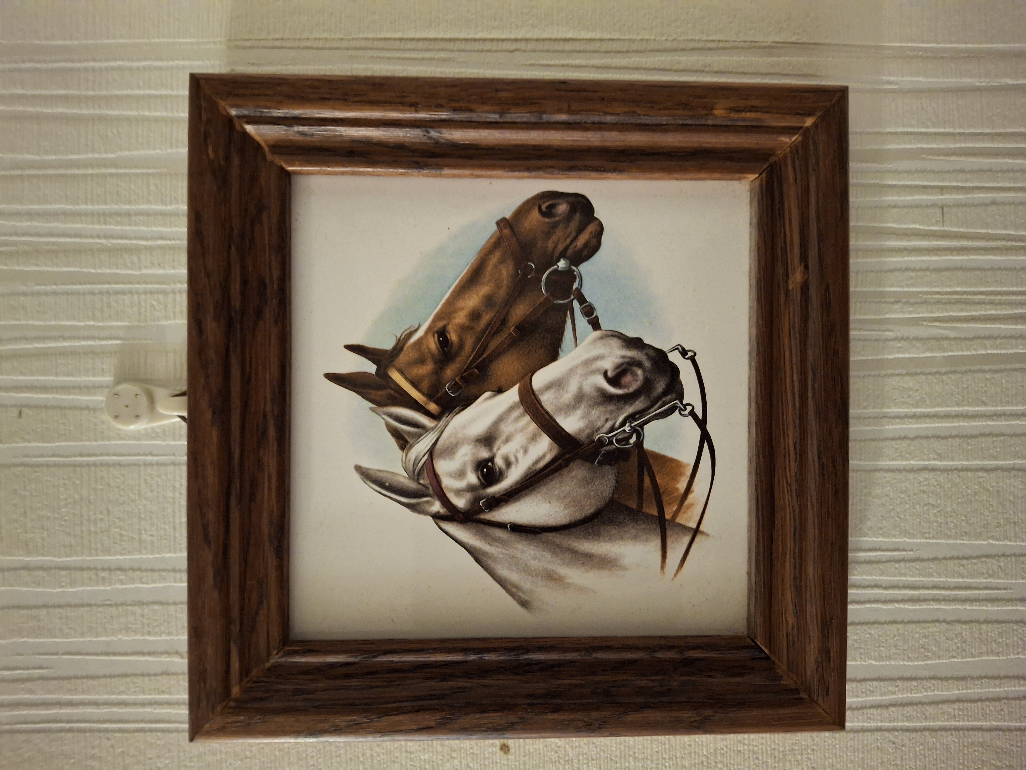 Framed Horse Portrait