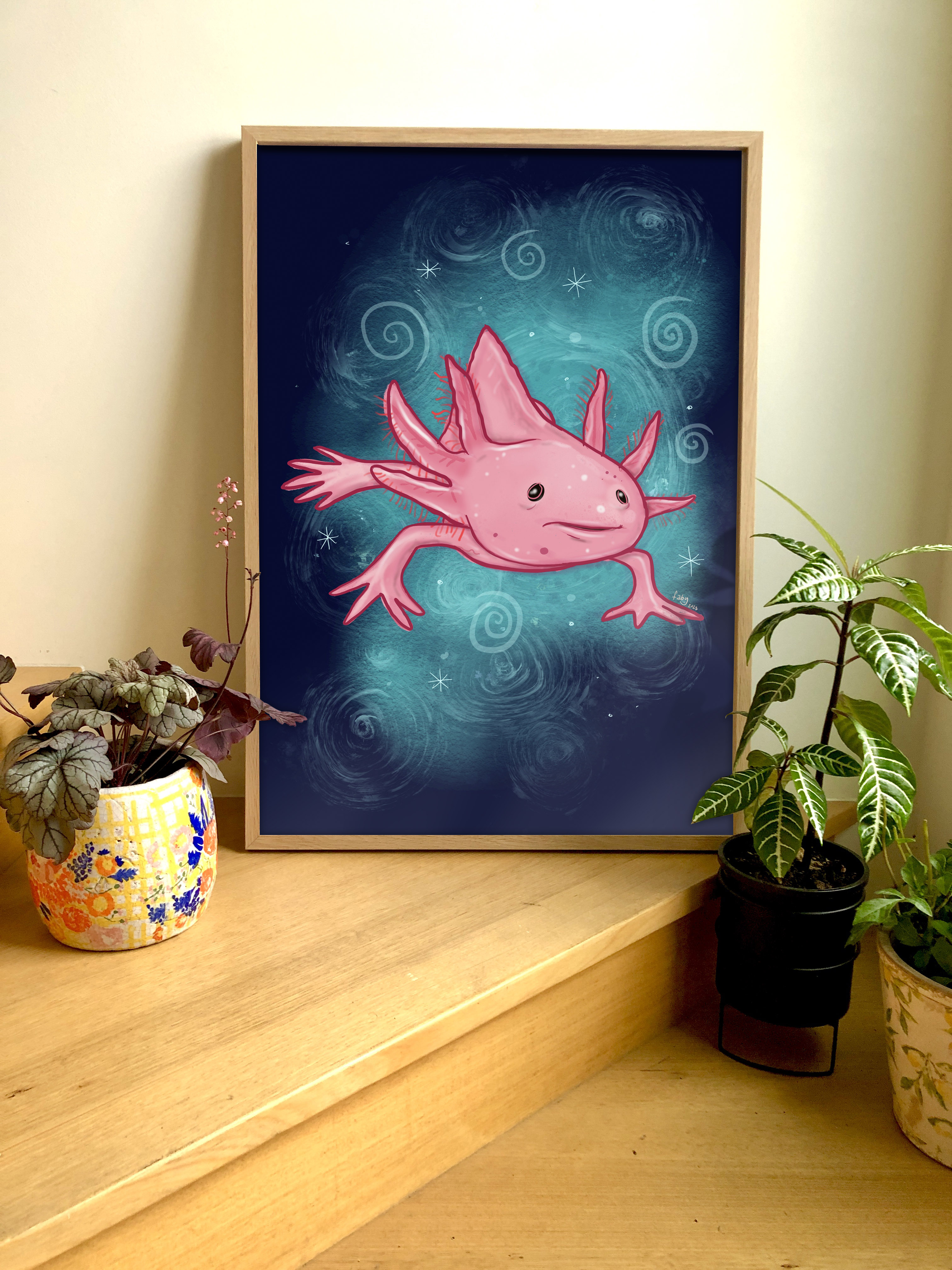 Axolotl