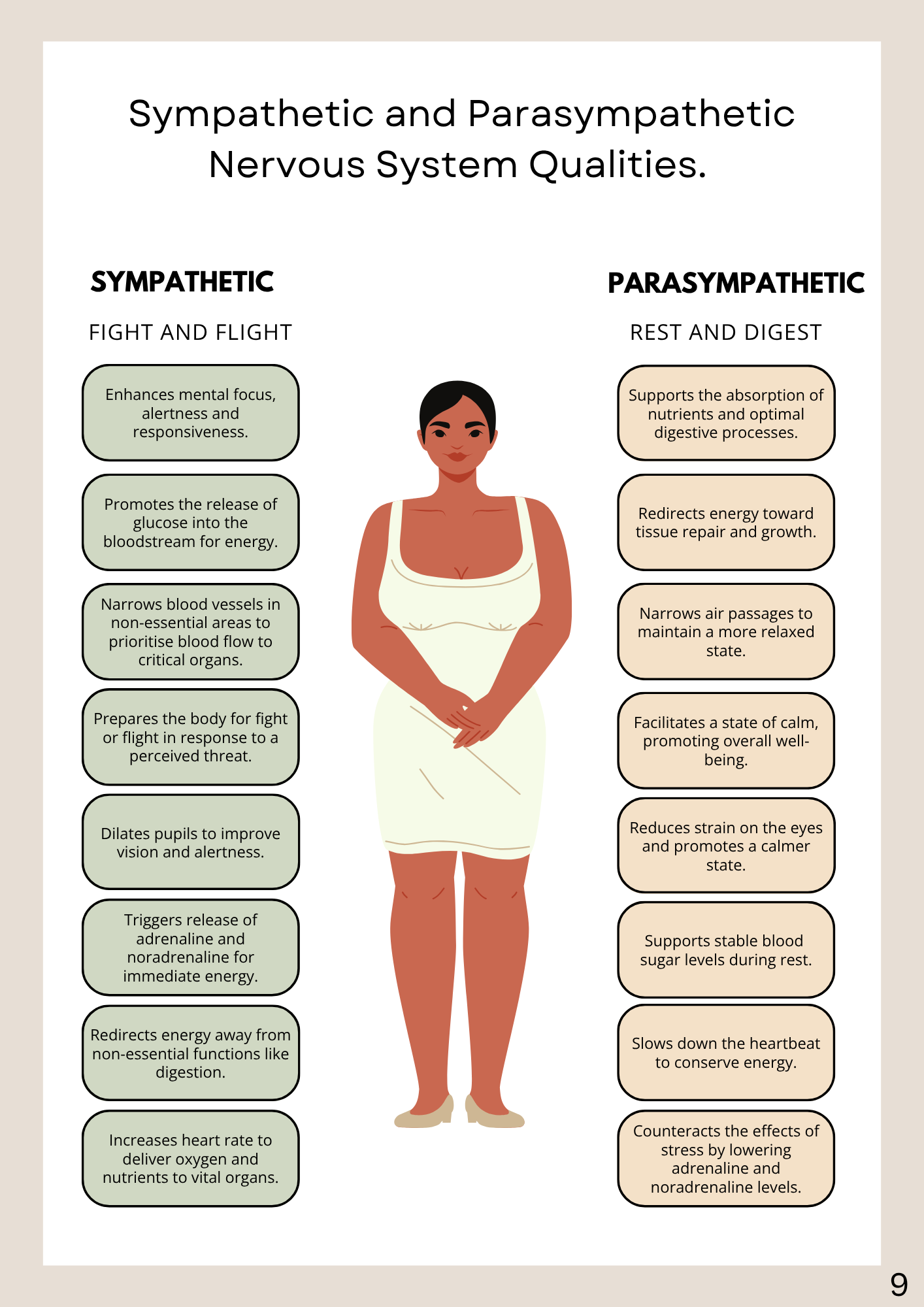 Polyvagal Theory Nervous System Regulation Guide
