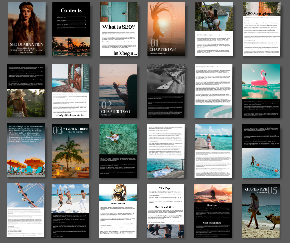 SEO Domination - The Ultimate Guide to High-Quality Targeted Traffic