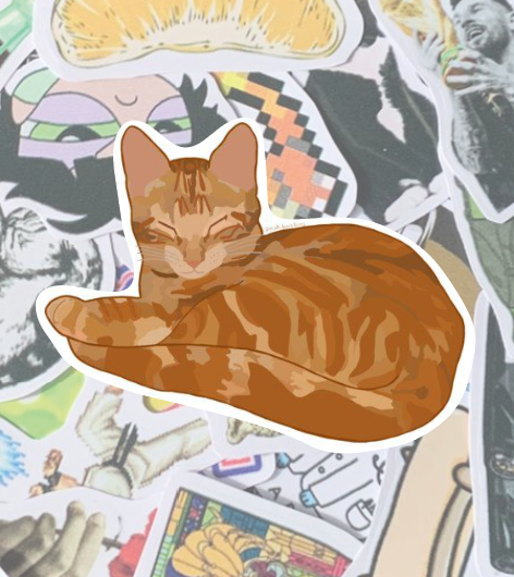 Gato Naranja Durmiendo